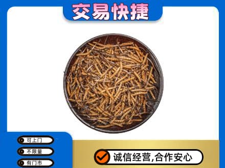 陕州区高价回收散虫草